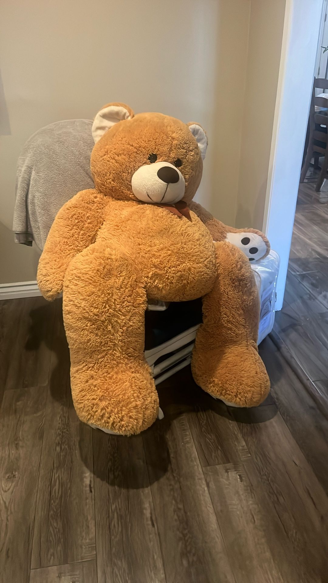 Large Teddy Bear