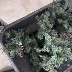 9’ Christmas Garland 