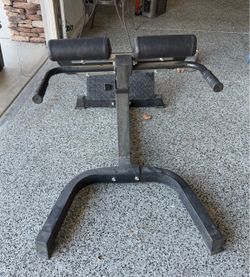 Lower Back Extension