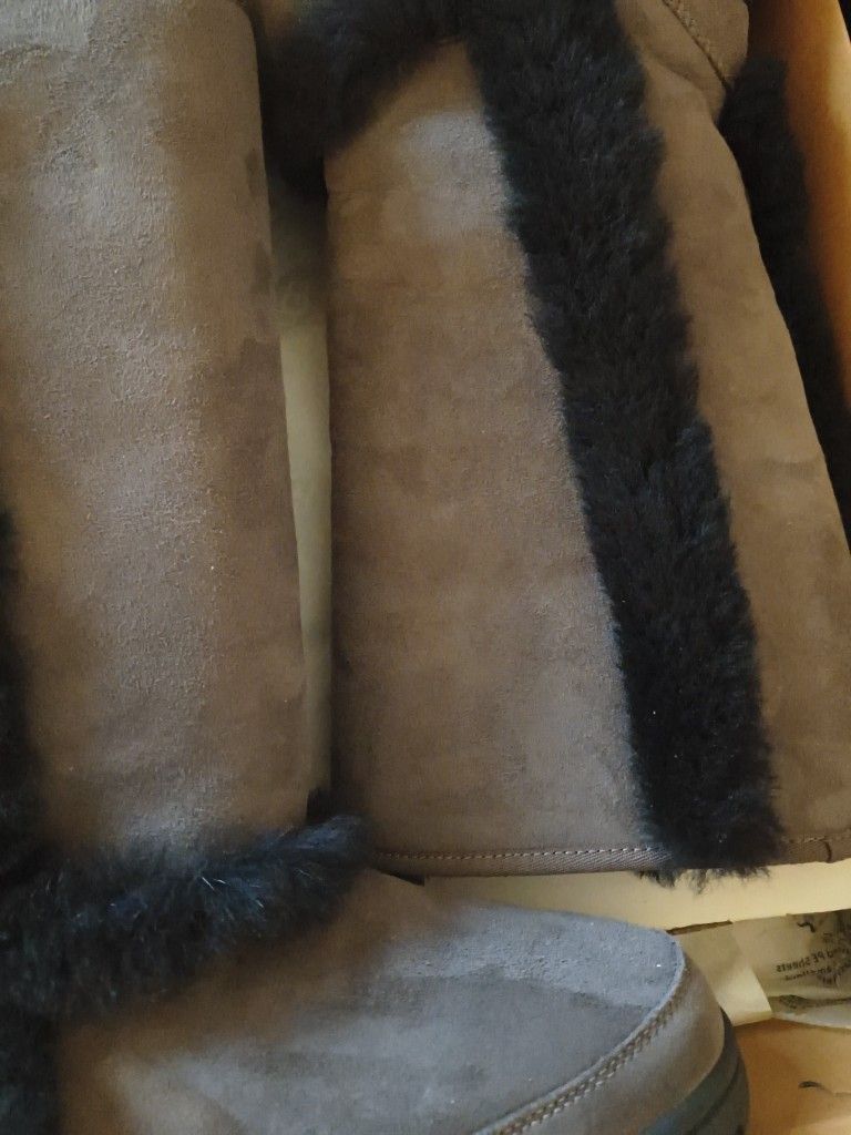 Brand New Ugg Tall Boots