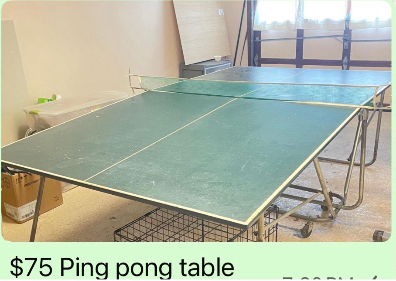 Ping Pong Table