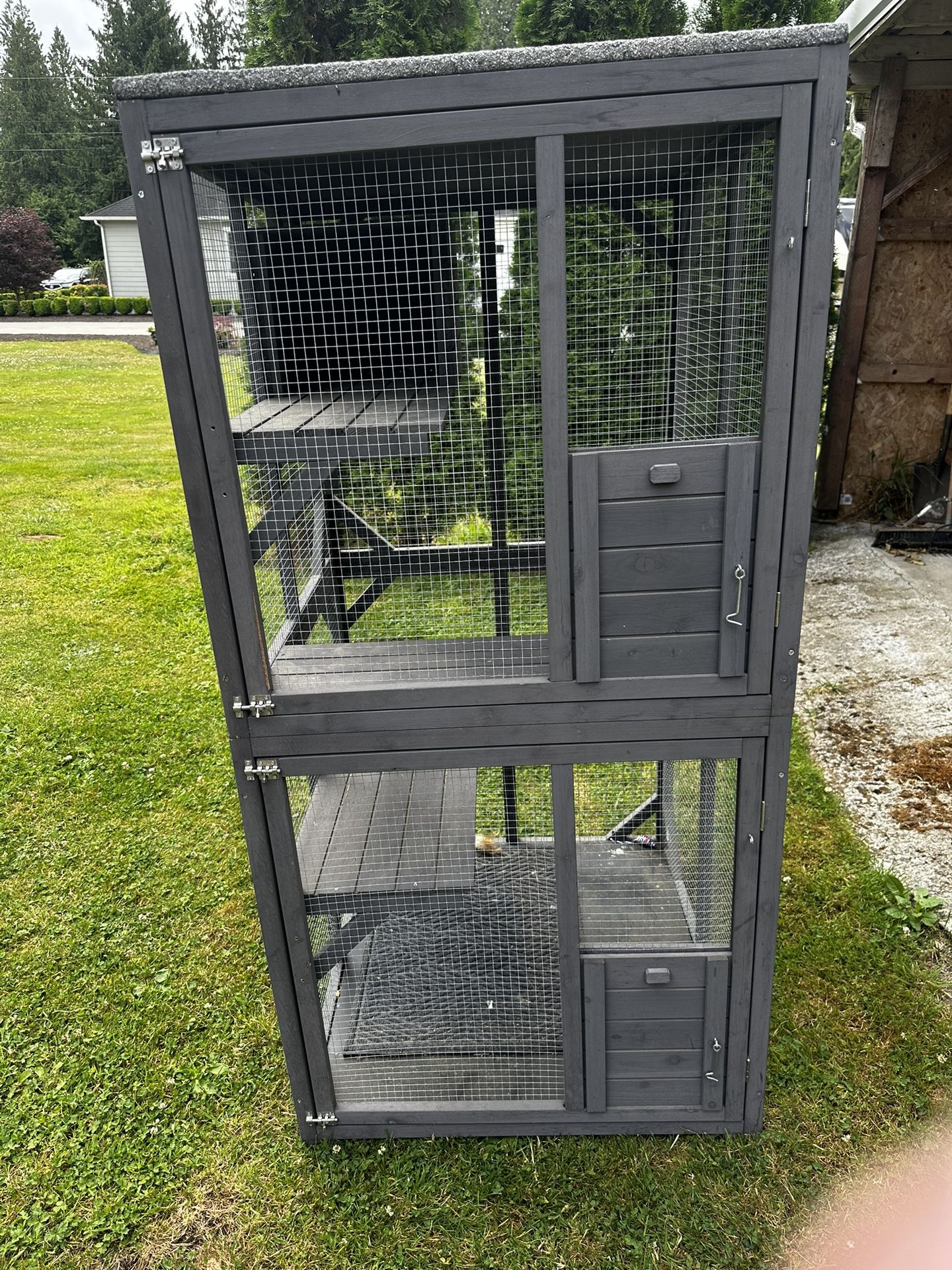 Outdoor Cat Cadio
