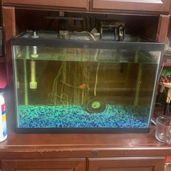 Fish Tank With Filter, Light And Heater 