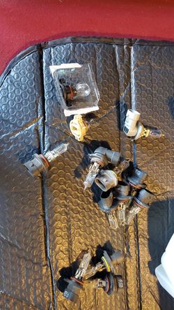 Light bulb doghtcharger