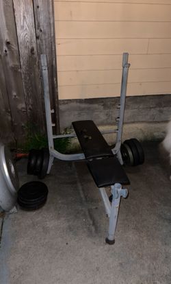 Weight Bench 