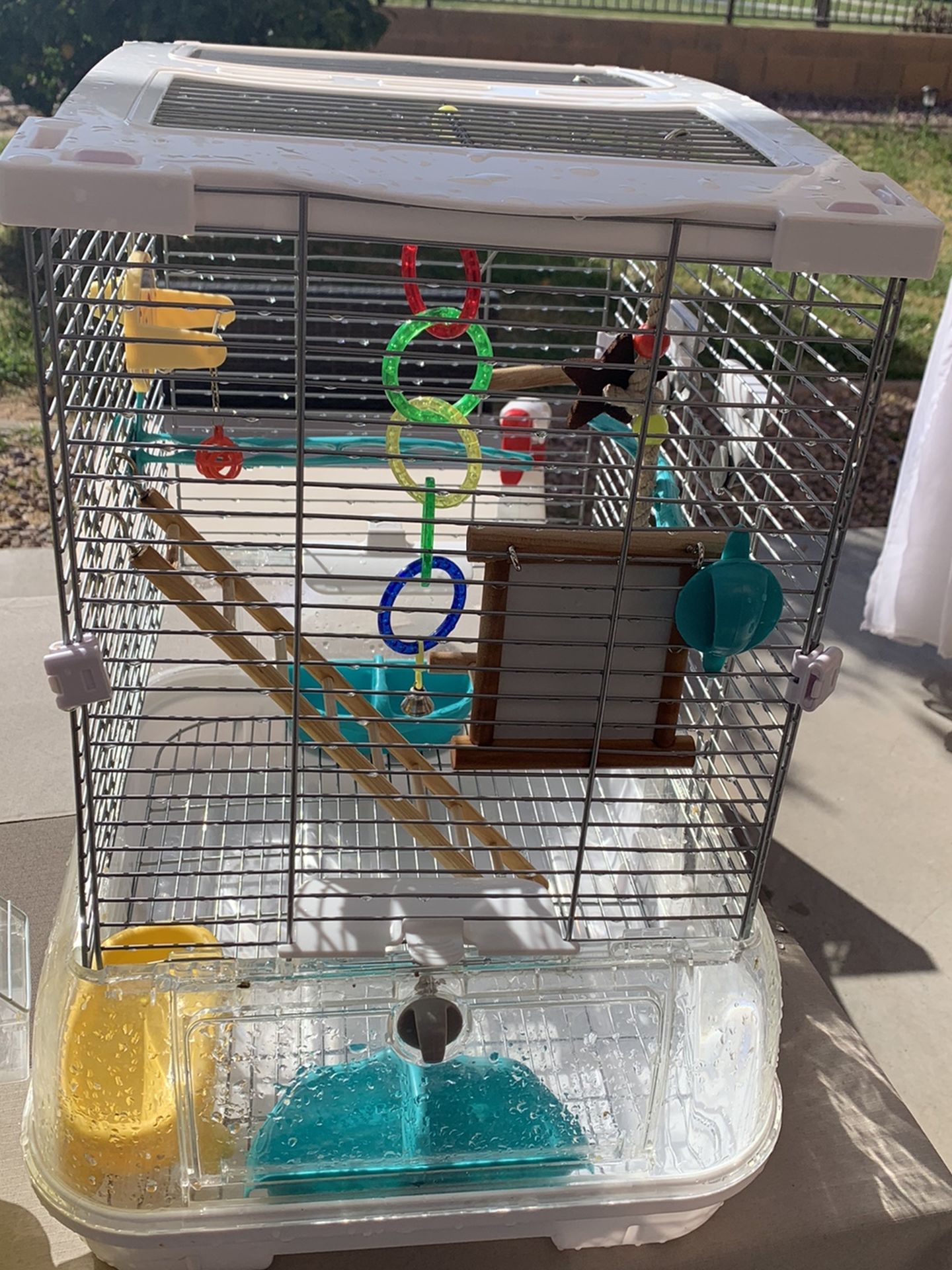 Bird Cage