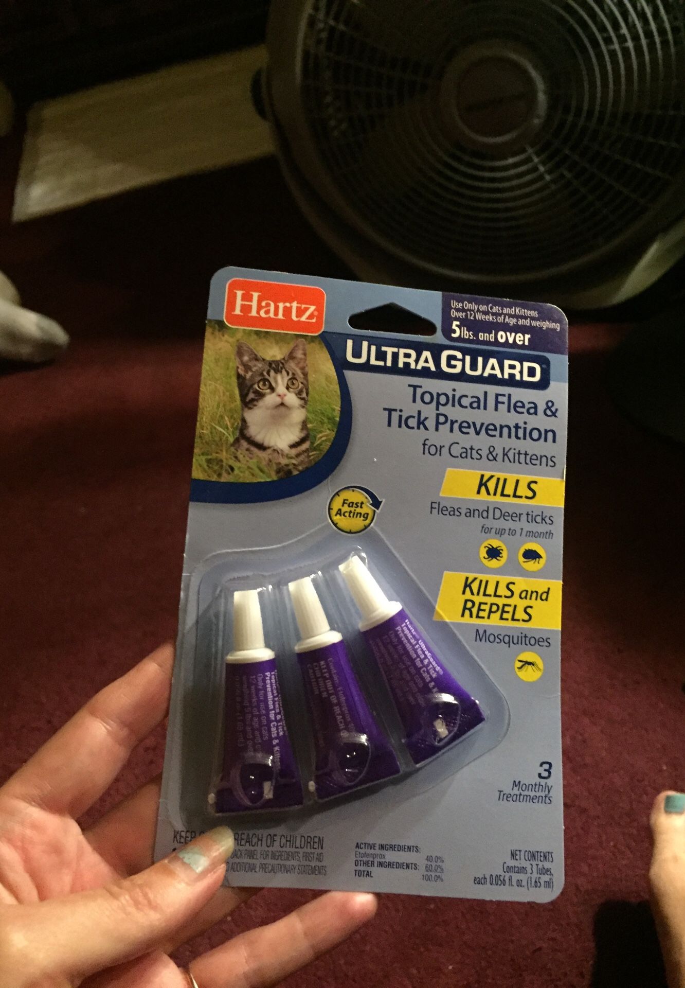 Free flea meds