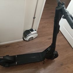 Bird Scooter 