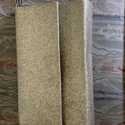 2 Special Occasions Purses For $3
