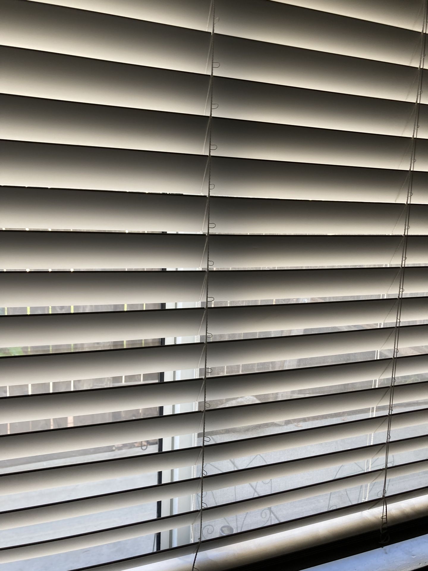 White Cut Roller Size W 55 1/2 X H 47 Inch Home decor