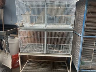 Bird Cage/Jaula (Read description)