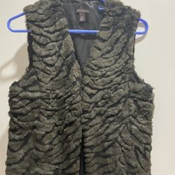 Vest Largo  FL