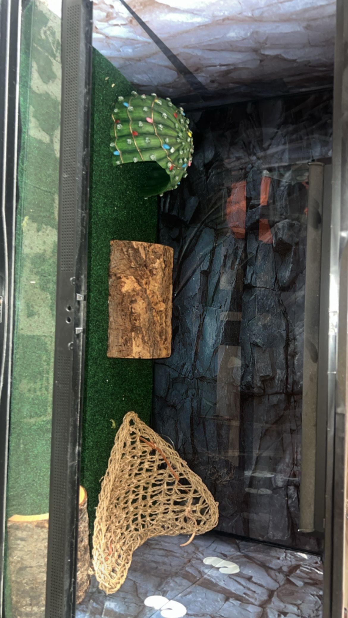 120gallon reptile tank