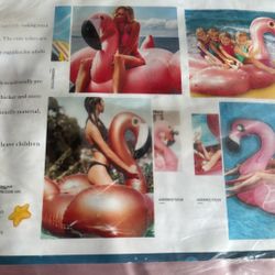 Floating Large Flamingo