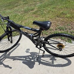 Adult Bike $40