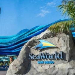 Sea World Tickets