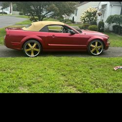 2006 Ford Mustang