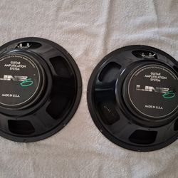 Guitar Speakers -  USA Made Eminence