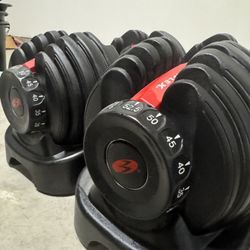 Bowflex Dumbbells 