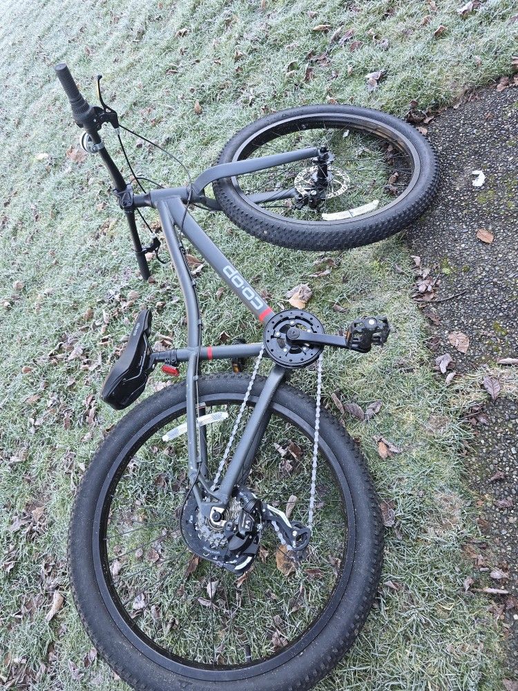 Rei Coop Rev24