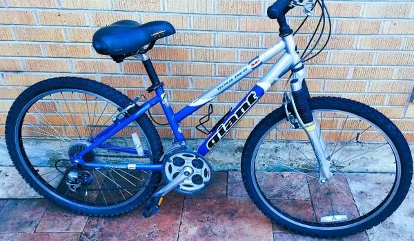 Giant SE Boulder Mountain Bike
