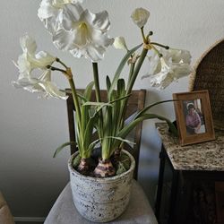 Decorative Fake Plant
