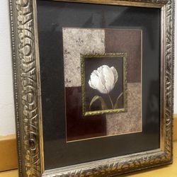 Affordable Art Collection For Home, Staging, Office, Etc.