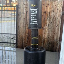 Everlast Standing Punching Bag