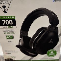 Turtel Beach Headset