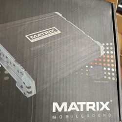 Car Audio Amplifier 1000w 2 Channel Brigable With Bass Control 