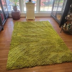 5 x 7 Green Shag Rug by Capel Rugs