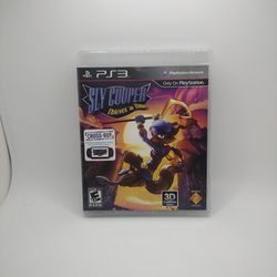PS3 Sly Cooper Thieves In Time 