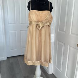 Women’s Dress Size 2XL
