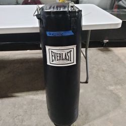 Everlast Heavy Punching Bag