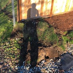 Half Yard Of Sod Dirt
