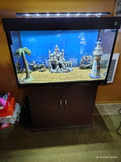 Fish tank