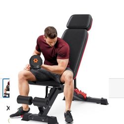 Weight Workout Bench