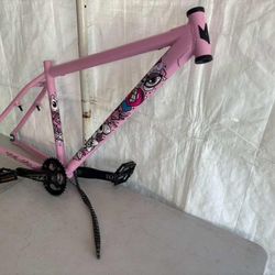 Pink Chad Frame