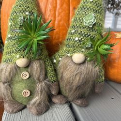 Succulent Gnomes