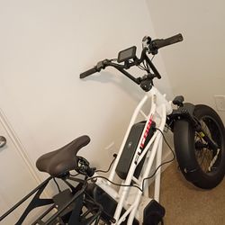 Fat Tire E-bike 