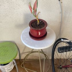 Plant Stand/ Side Stool