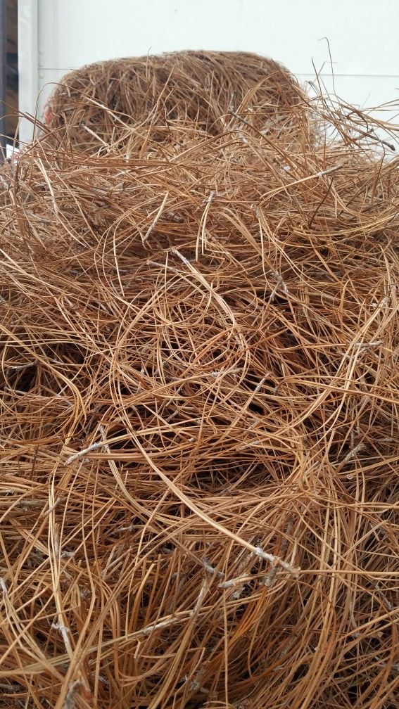 Long Leaf Pine Straw Bales for Sale in Wilson, NC OfferUp