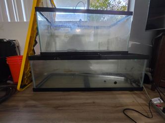 Large Glass Aquarium Tanks