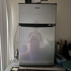 Mini fridge