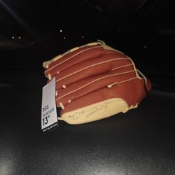 DSG 13 In Fielders Glove