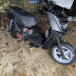 2024 flywing marahall