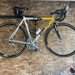 Fuji- Team Easton Road Bike
