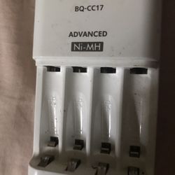 Panasonic Battery Charger
