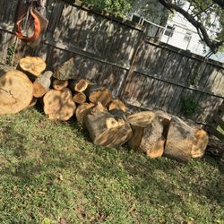 tree trunks