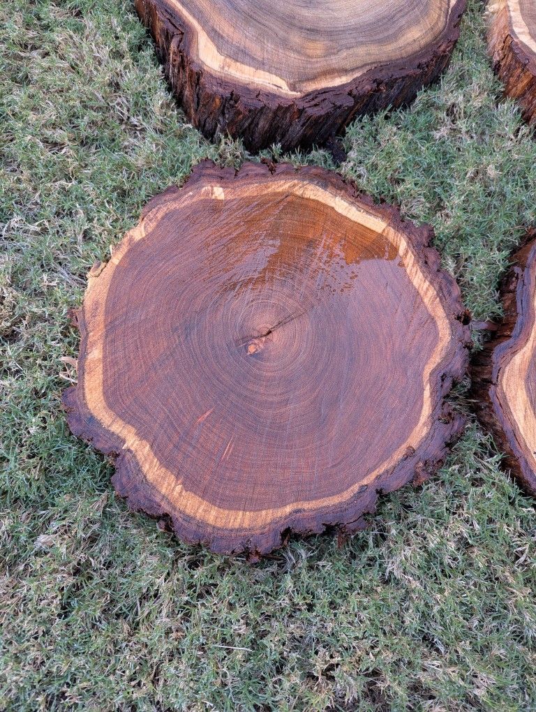 Mesquite Wood Rounds